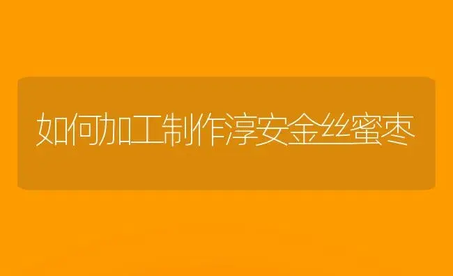 如何加工制作淳安金丝蜜枣 | 植物科普