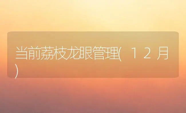 当前荔枝龙眼管理(12月) | 植物百科