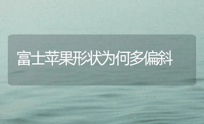 富士苹果形状为何多偏斜 | 植物百科