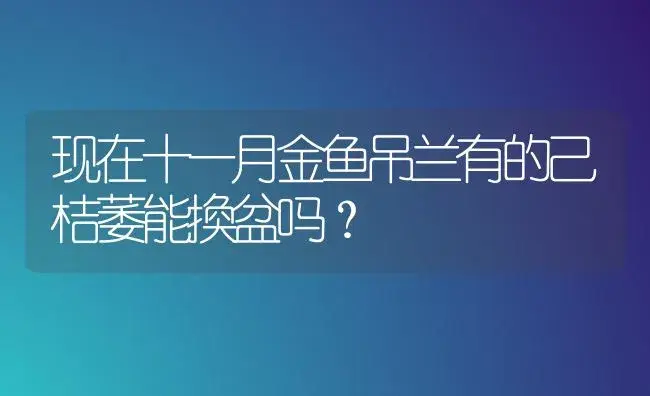 现在十一月金鱼吊兰有的己桔萎能換盆吗？ | 植物问答