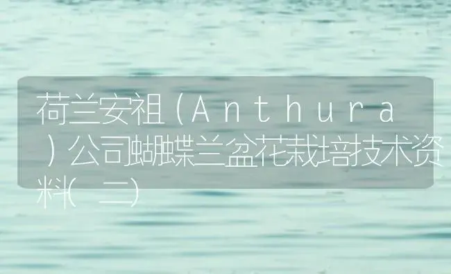 荷兰安祖（Anthura）公司蝴蝶兰盆花栽培技术资料(二) | 植物知识