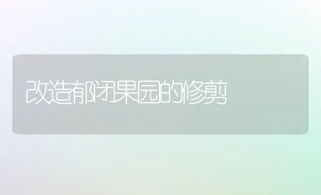 改造郁闭果园的修剪 | 植物百科