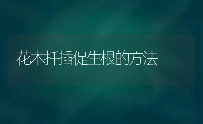 花木扦插促生根的方法 | 植物科普