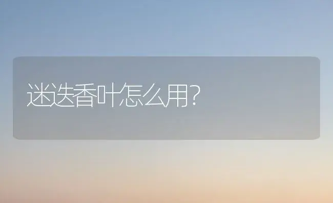 迷迭香叶怎么用？ | 植物问答