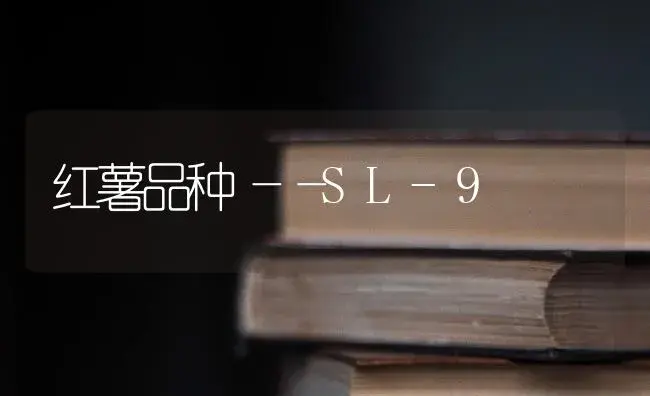 红薯品种――SL-9 | 植物科普