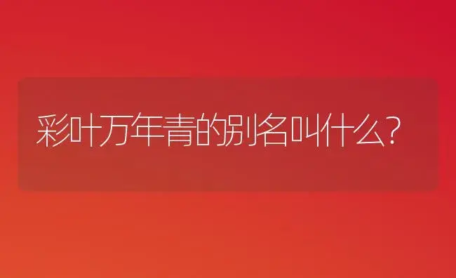 青白玉吊篮和吊竹梅哪个好看？ | 植物问答