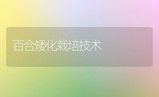 百合矮化栽培技术 | 植物科普