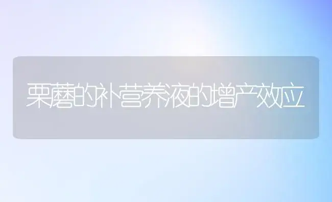栗蘑的补营养液的增产效应 | 植物科普