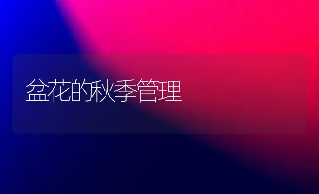 盆花的秋季管理 | 植物科普