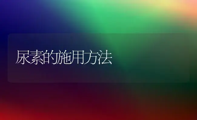 尿素的施用方法 | 植物科普