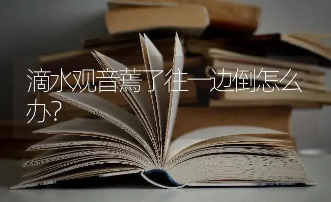 滴水观音蔫了往一边倒怎么办？ | 植物问答