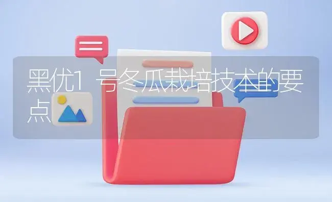 黑优1号冬瓜栽培技术的要点 | 植物百科