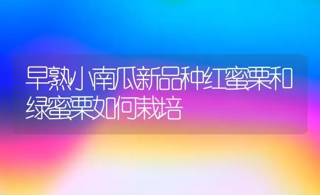 早熟小南瓜新品种红蜜栗和绿蜜栗如何栽培 | 植物科普