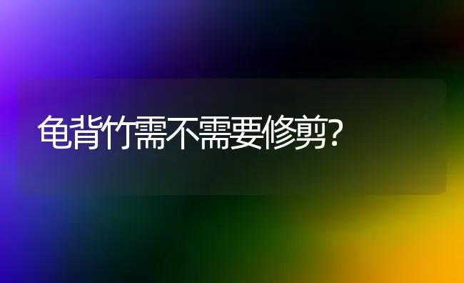 一叶兰根可以吃吗？ | 植物问答