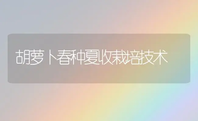 胡萝卜春种夏收栽培技术 | 植物科普