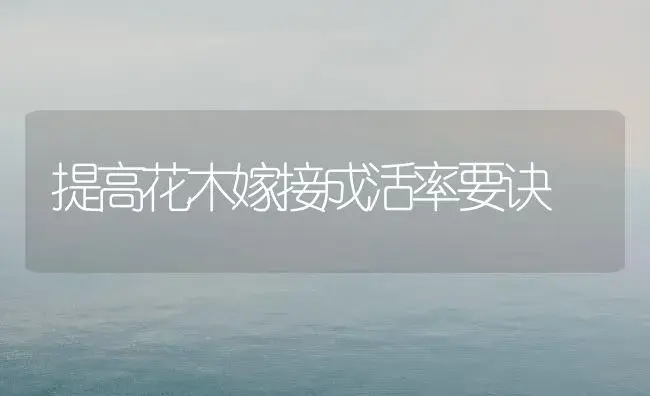 提高花木嫁接成活率要诀 | 植物知识