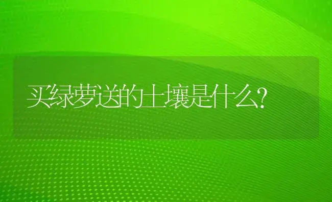 买绿萝送的土壤是什么？ | 植物问答