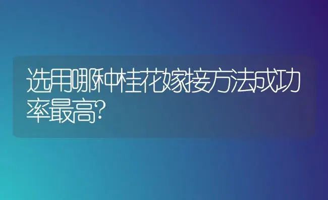 选用哪种桂花嫁接方法成功率最高? | 植物知识