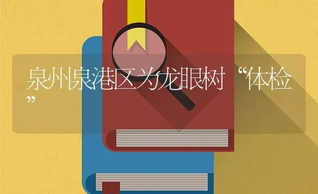 泉州泉港区为龙眼树“体检” | 植物百科