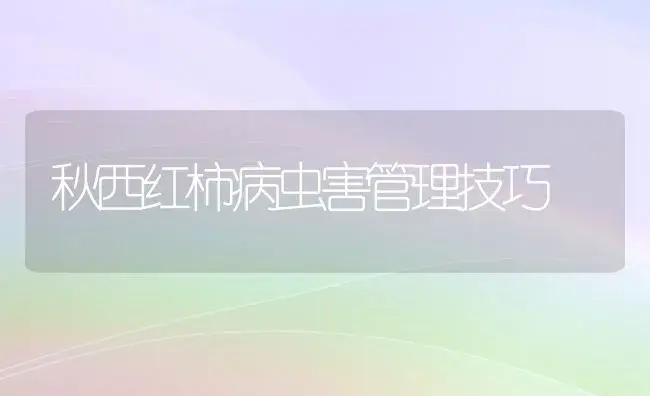 越冬甜椒、春丝瓜、秋黄瓜一年三种三收高栽培技术 | 植物科普