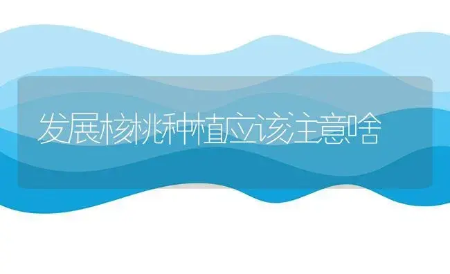 发展核桃种植应该注意啥 | 植物科普