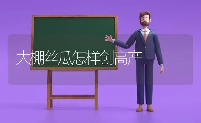 大棚丝瓜怎样创高产 | 植物科普