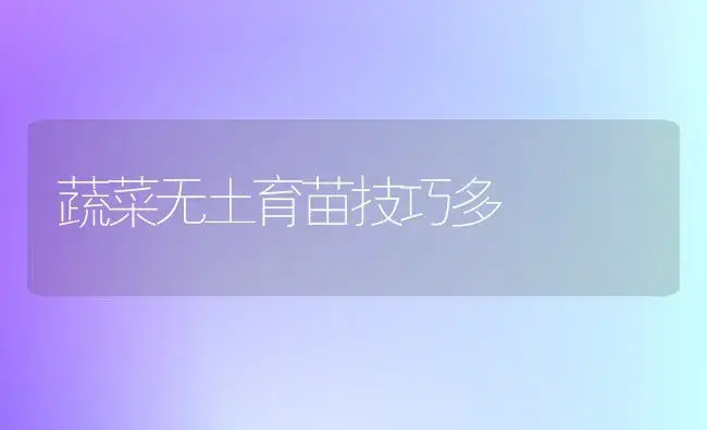 蔬菜无土育苗技巧多 | 植物百科