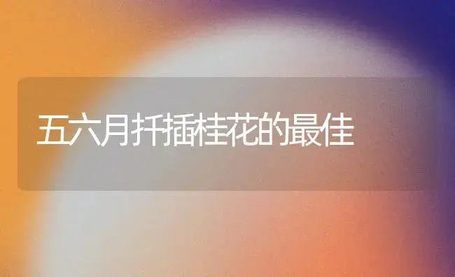 五六月扦插桂花的最佳 | 植物知识