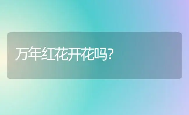 竹子是靠什么繁殖？ | 植物问答