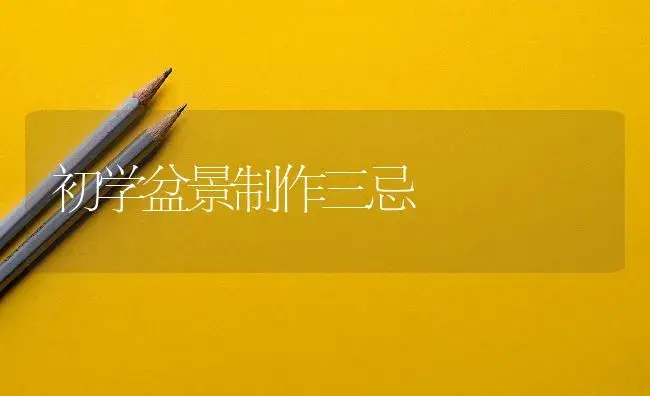 初学盆景制作三忌 | 植物知识