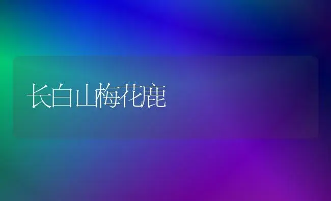 长白山梅花鹿 | 植物科普