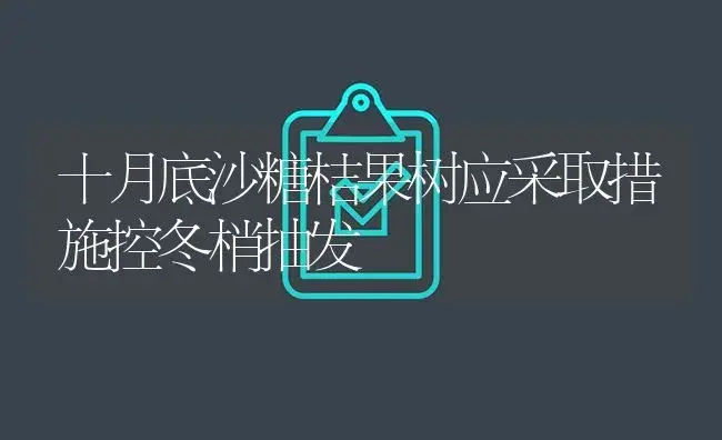 十月底沙糖桔果树应采取措施控冬梢抽发 | 植物百科