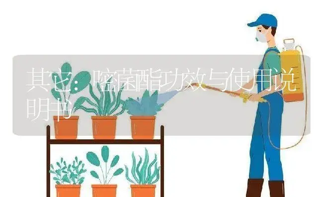 其它：嘧菌酯 | 适用防治对象及农作物使用方法说明书 | 植物资料