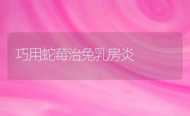 巧用蛇莓治兔乳房炎 | 植物百科