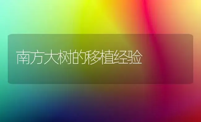 南方大树的移植经验 | 植物科普