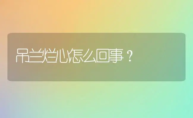 吊兰烂心怎么回事？ | 植物问答