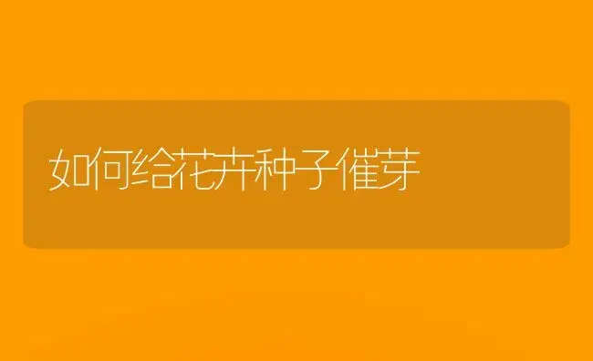 如何给花卉种子催芽 | 植物科普
