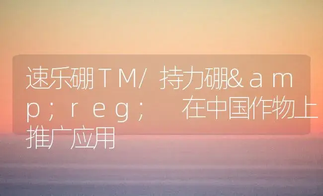 速乐硼ＴＭ/持力硼® 在中国作物上推广应用 | 植物科普