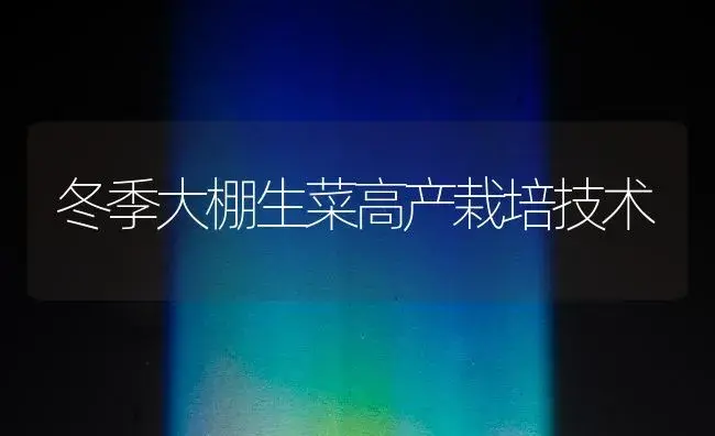 冬季大棚生菜高产栽培技术 | 植物百科
