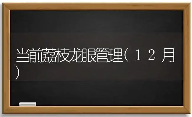 当前荔枝龙眼管理(12月) | 植物科普