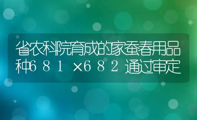 省农科院育成的家蚕春用品种681×682通过审定 | 植物知识