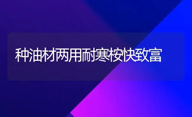 种油材两用耐寒桉快致富 | 植物知识