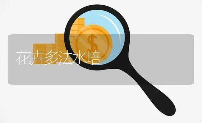 花卉多法水培 | 植物知识