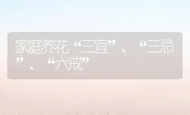 家庭养花“三宜”、“三忌”、“六戒” | 植物知识