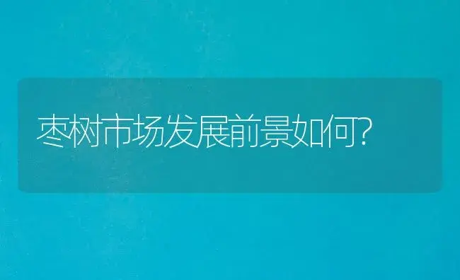 枣树市场发展前景如何？ | 植物科普