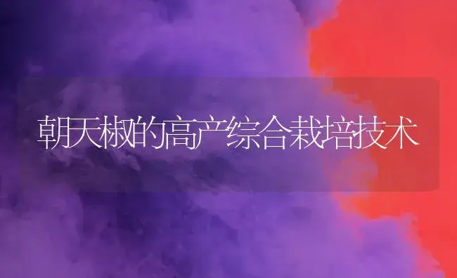朝天椒的高产综合栽培技术 | 植物科普