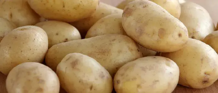 土豆怎样掐苗剪枝