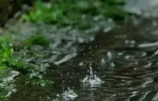 雨水节气的农事安排
