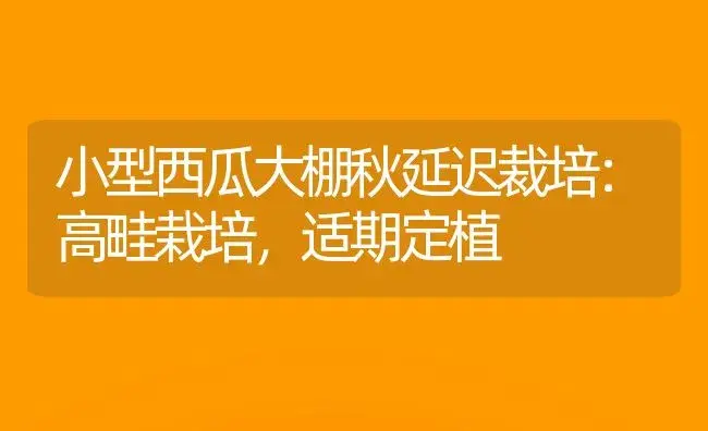 小型西瓜大棚秋延迟裁培：高畦栽培，适期定植 | 植物科普