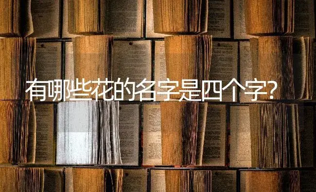 有哪些花的名字是四个字？ | 植物问答